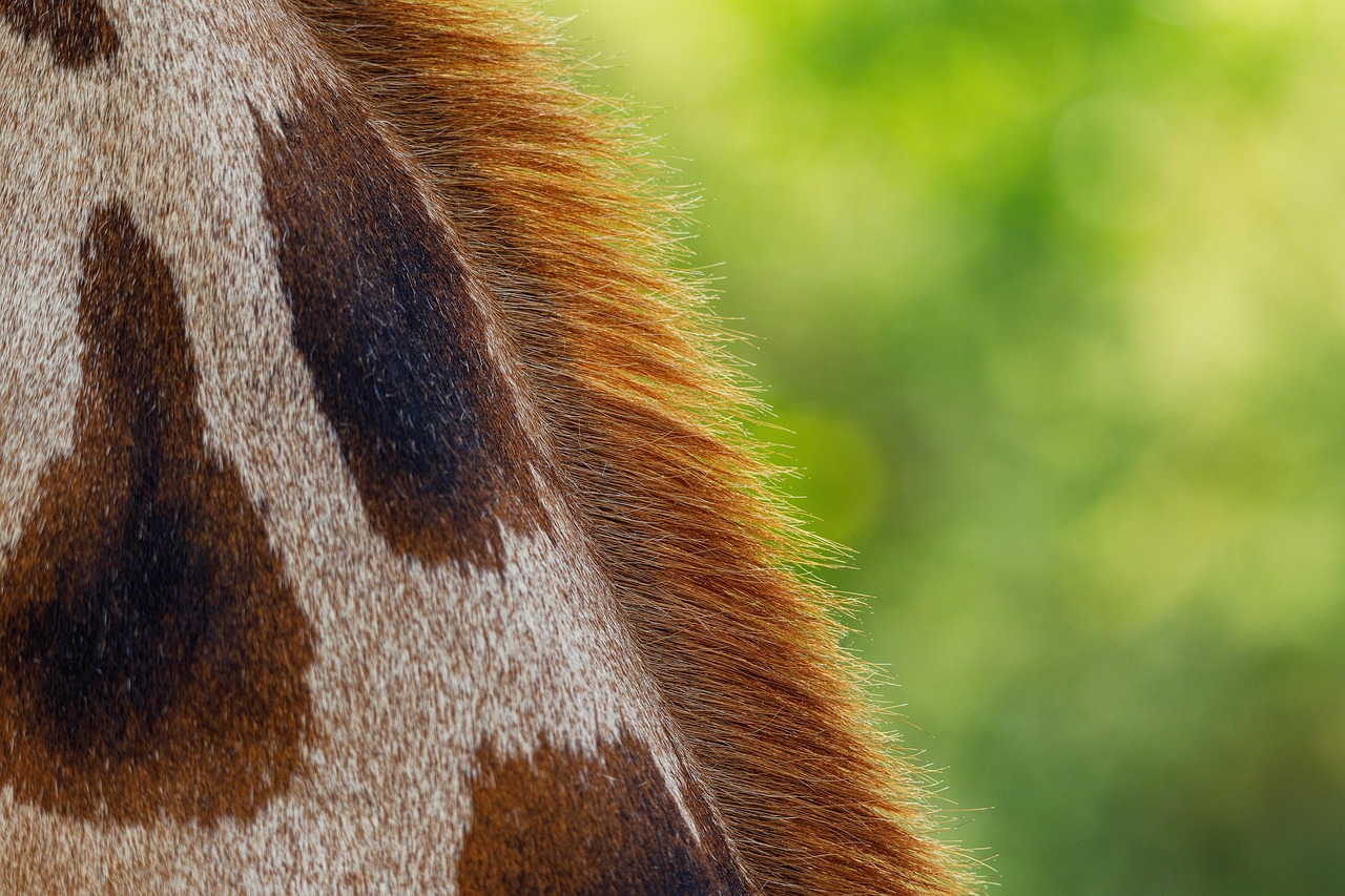 g07eefab217efbaacaab6fefd7a121468204299480c8bf8cbecdf1958ad28c5a0f4cbbeeaac2b204d77a423152d580d59dd39cb0b6fbc3d7dfa051edf5287c436 1280