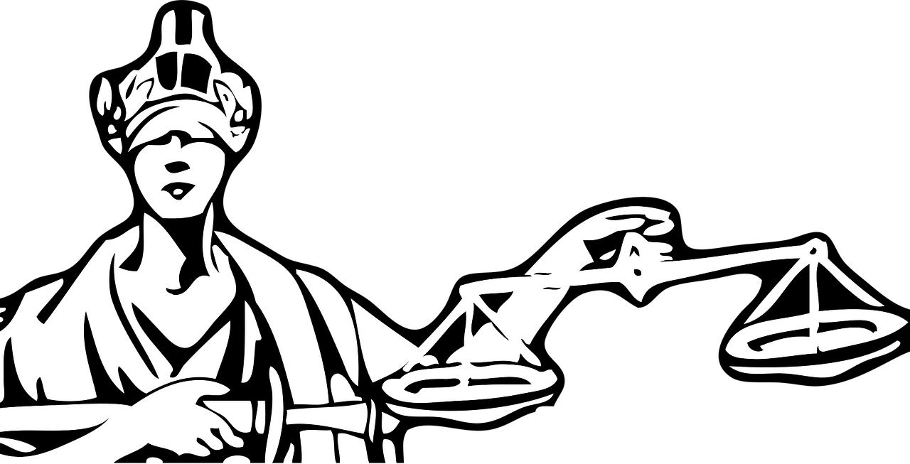 informations claires et à jour sur le statut juridique, incluant les définitions, implications légales et démarches associées.